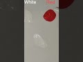 ✨ Mixing Colours Like Magic #colourmixing #colors #shortvideo #youtubeshorts