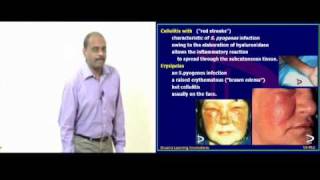 Pathology Sample Lec_1.avi