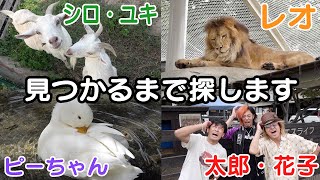 【愛知総捜索】ベタすぎる名前の動物、実はいないのでは？