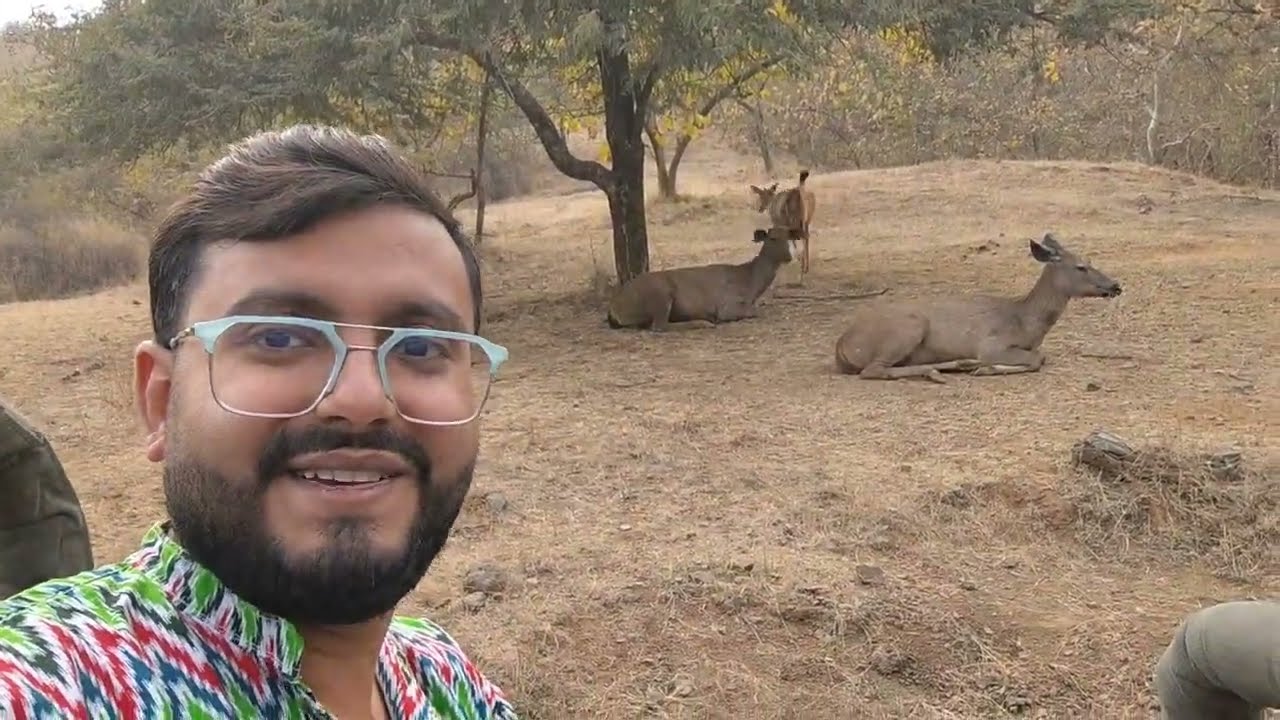 GIR National Park Jungle Safari - Sasan GIR Gujarat