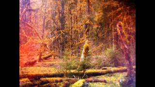 Slidecamp - Coppola