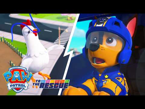Suis les empreintes! Chase retrouve Galinetta! 🎈| La Pat' Patrouille