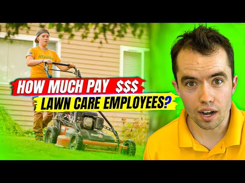 How Much Should You Pay Lawn Care Employees? (P4P for Small-Sized Biz)