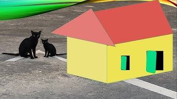 Rank of a Matrix: Minor Method