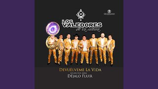 Video thumbnail of "Los Valedores de la Sierra - Devuélveme la Vida"