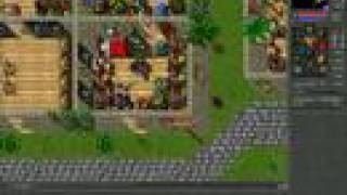 Tibia Nakab