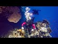 Шарм Эль Шеих дайвинг - Sharm El Sheikh diving