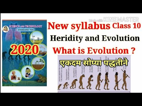What is evolution class 10 science part 2 by Study education - YouTube