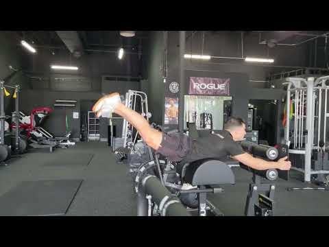 Glute Ham Developer GHD Reverse Hyperextensions "Reverse Hypers"