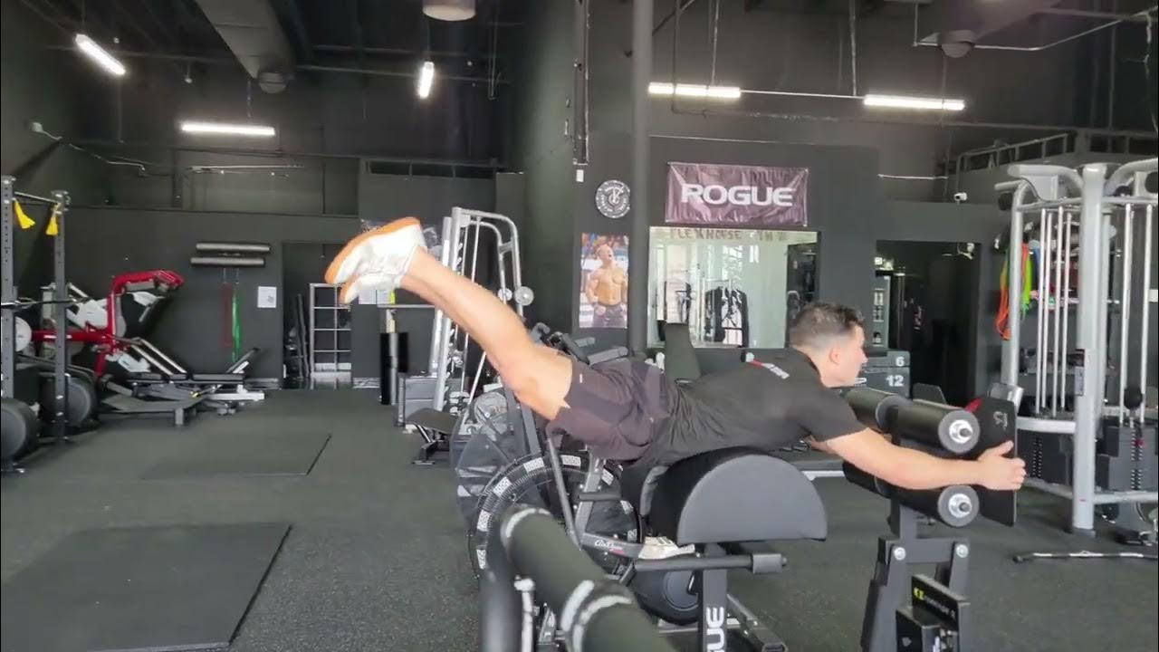 Glute Ham Developer GHD Reverse Hyperextensions "Reverse Hypers" YouTube