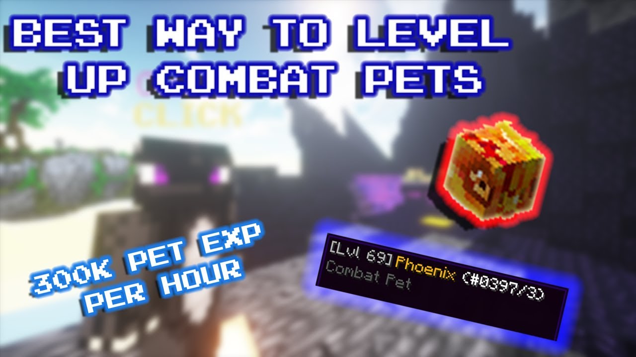 BEST WAY TO LEVEL UP COMBAT PET GUIDE - Hypixel Skyblock ...