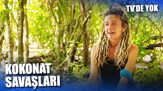Hanzade Ve Gönüllüler Arasında Kokonat Krizi Survivor 2021