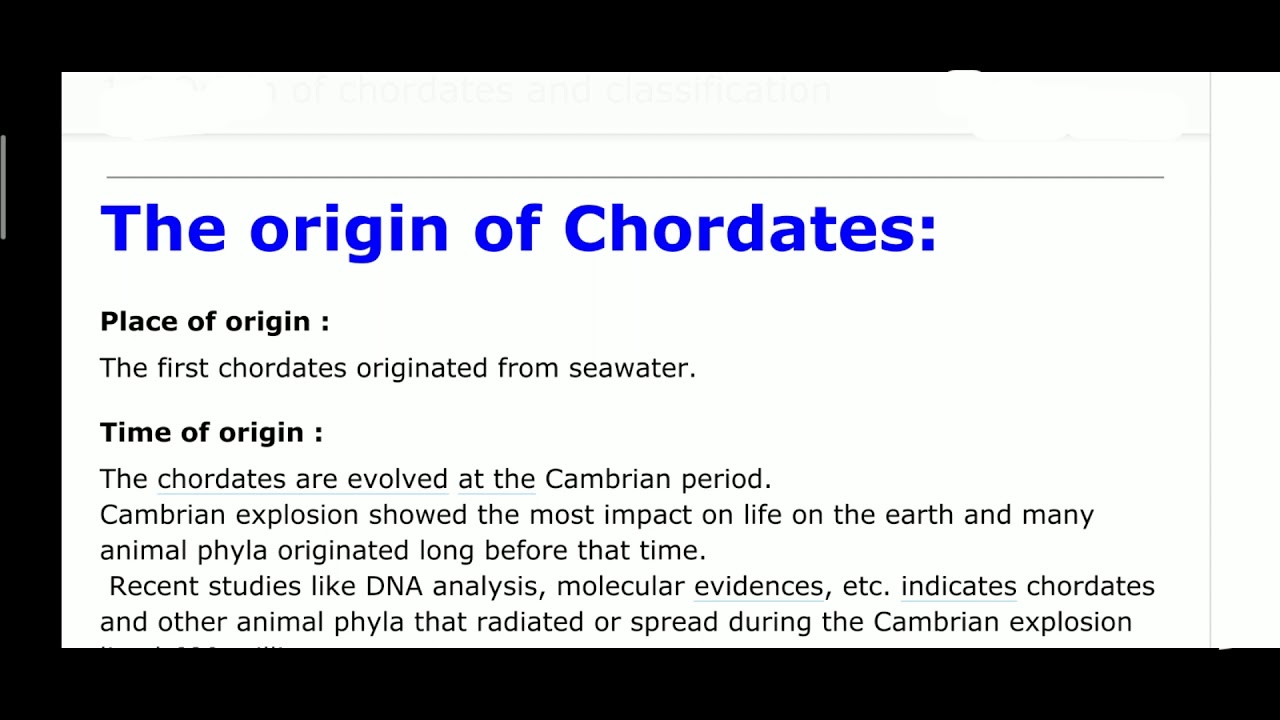 Origin of Chordates