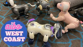 Sony Aibo West Coast ‘24 Meetup With Maddie! Robots Everywhere! Event Clips/Videos/Moments