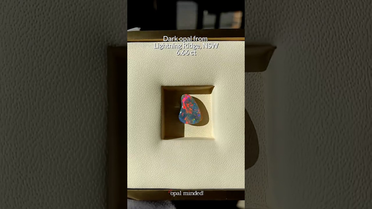 ✨ Start the year with a gift that truly inspires wonder. ✨ 