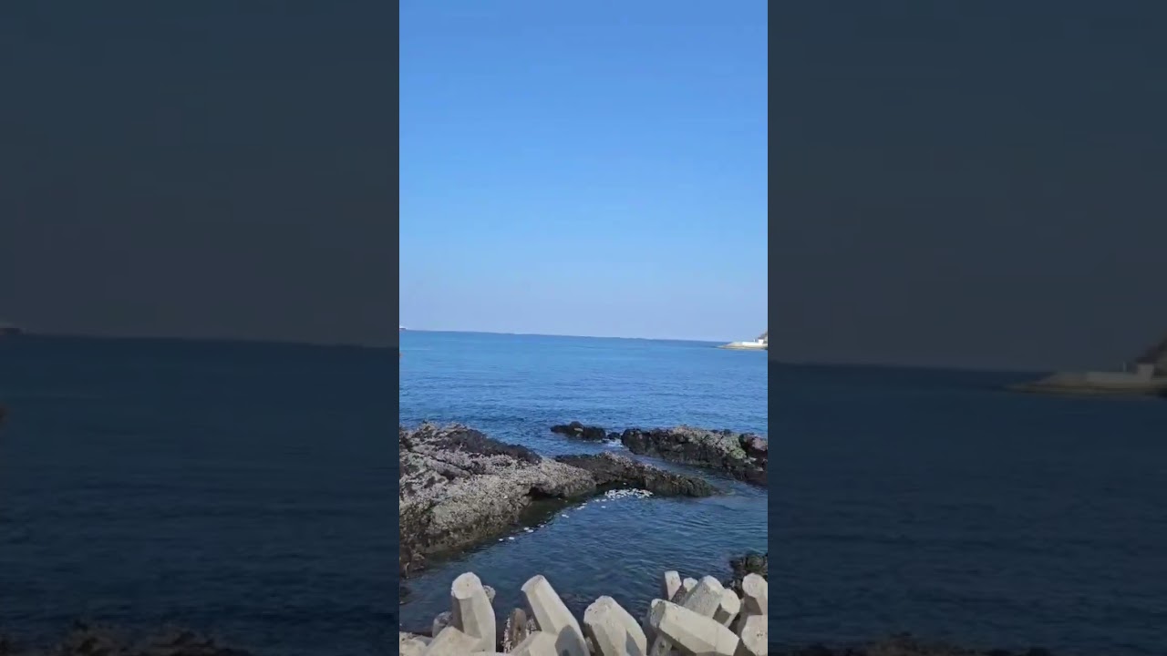 Investigation mood🥰😍