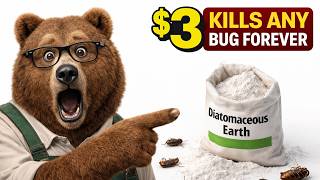 $3 Powder Kills ANY Bug Forever — They Never Told You This