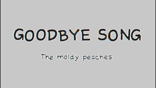 Watch Moldy Peaches Goodbye Song video