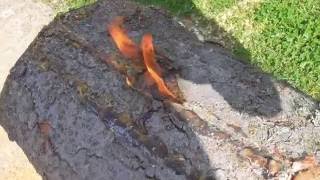 Wood Resin is FLAMMABLE
