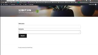 Query posts by custom field