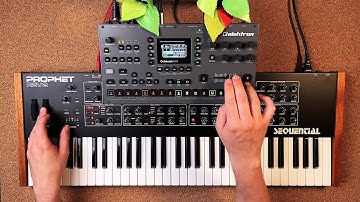 Elektron Octatrack + Sequential Prophet Rev2 // Sequential Sequences