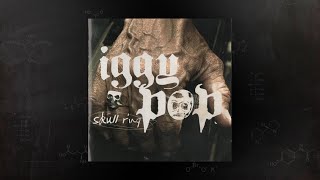 Iggy Pop &amp; The Stooges - Loser