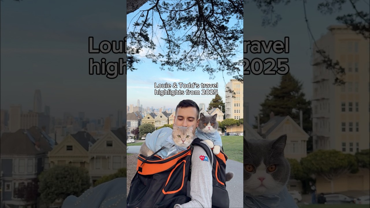 Louie & Todd’s world travel highlights from 2025 🌎