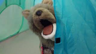 Super Cool Blanket Fort