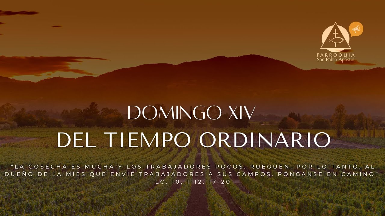 Domingo XIV del Tiempo Ordinario. 06 de julio 2025. Santa Misa 11:00 a.m.