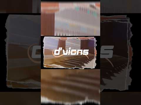 D.Vision Funky (do u feel the groove)