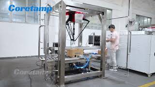 Automatic packing line with robot