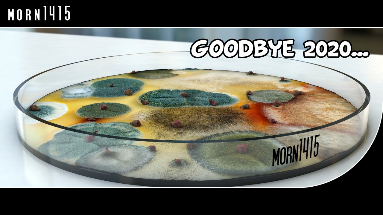 2021 wishes from morn1415