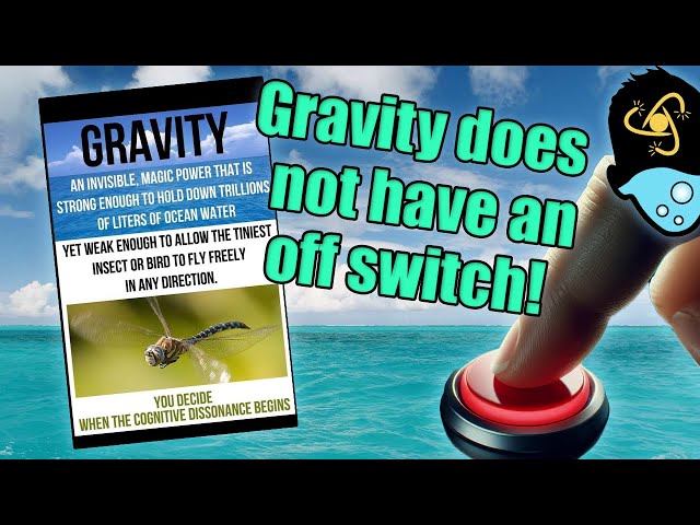 Debunking Flat Earth Memes: Dragonflies and Oceans class=