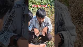 biscuit ke liye dog 😂 #shortsfeed #shorts #comedy #funny #memes #fyp #dog #funniestvideo