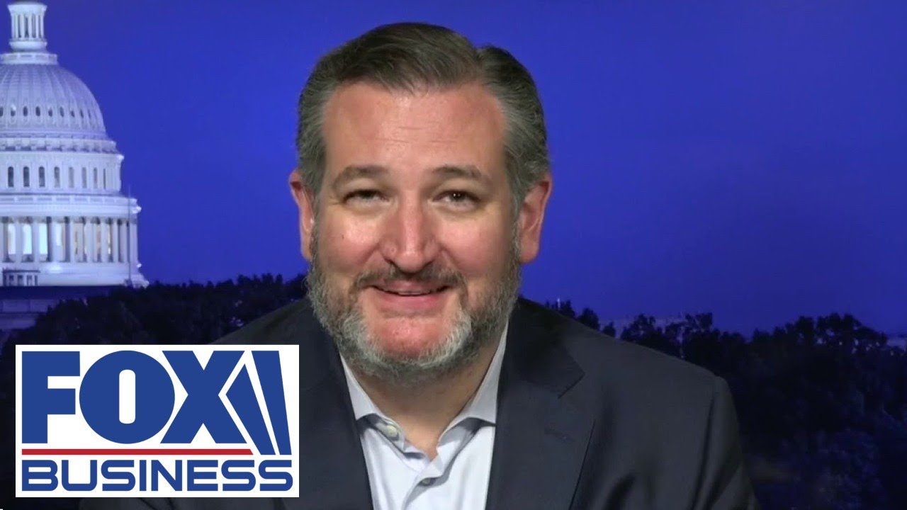 He has no involvement with aviation safety: Sen. Ted Cruz