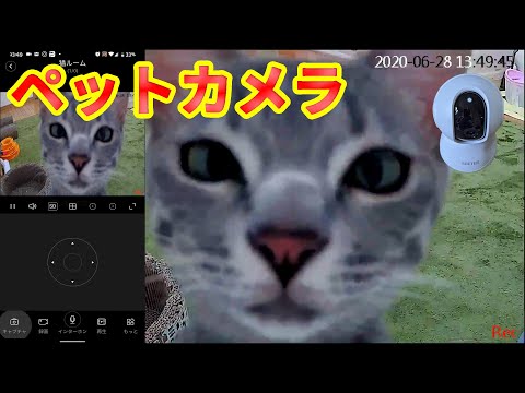 【爆安！】3000円以下！ペットカメラ　防犯カメラにも使える　コスパ最強　Pet camera