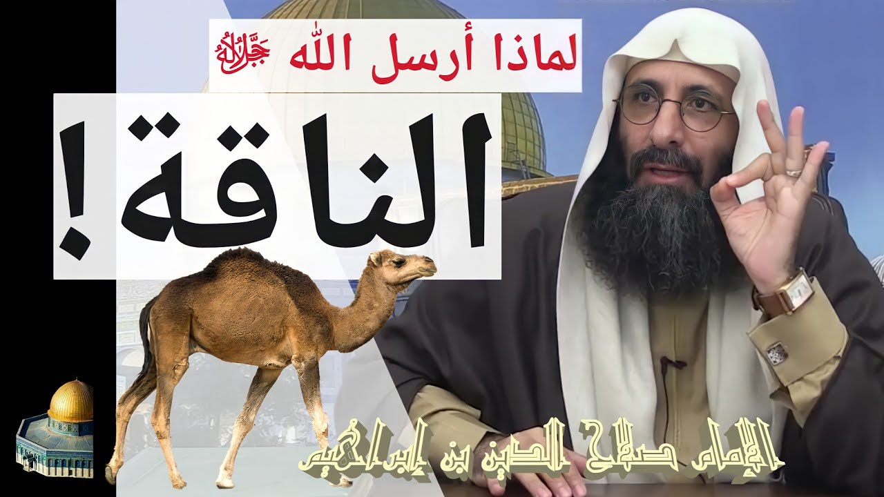 لماذا أرسل الله ﷻ الناقة؟ الإمام صلاح الدين بن إبراهيم