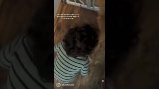 Trying to teach my son how to pet a cat ?