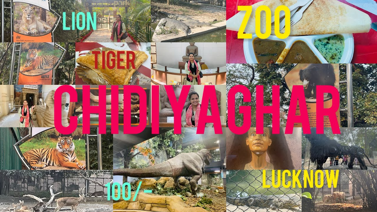 Lucknow zoo, Chidiya ghar 🦁🐯