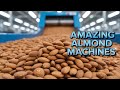« Ligne de transformation des amandes – Rendement 90 % »