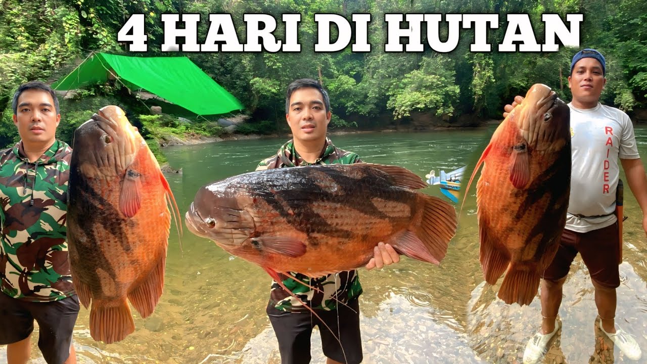 Camping Hujan deras 4 Hari Pertualangan Bermalam di hutan  mencari ikan di sungai kapuas masak makan
