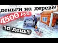 4,500 рублей за день! Деньги  на дереве! Заработок на вездеходе в тайге! Мой промысел мой бизнес!