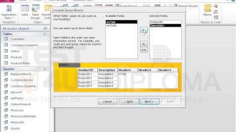 Use the query wizard to create a crosstab query based on the SalesPerProduct query. The new...