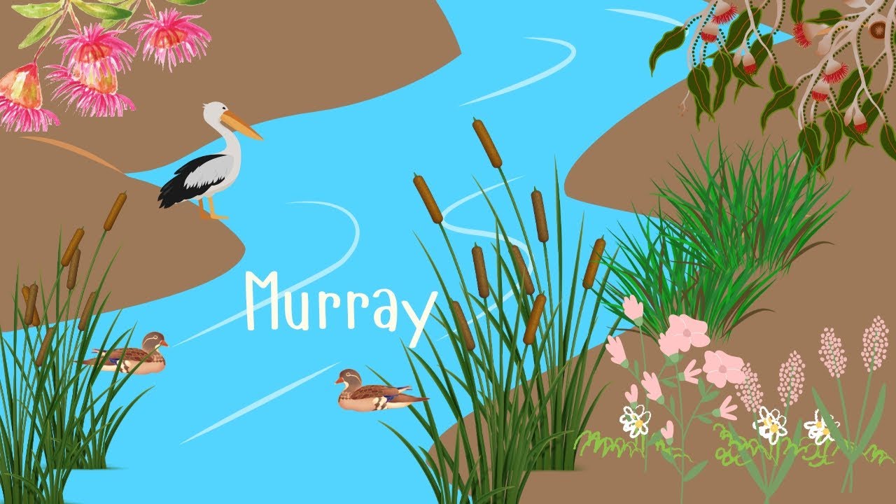 The Mighty Murray River - YouTube