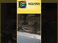 Drúg Bust Linked to Illegal Foreign Nationals During SA Marches