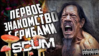 SCUM - Я ДУМАЛ ЭТО ЛИСИЧКИ Б**!!! #scumgameplay