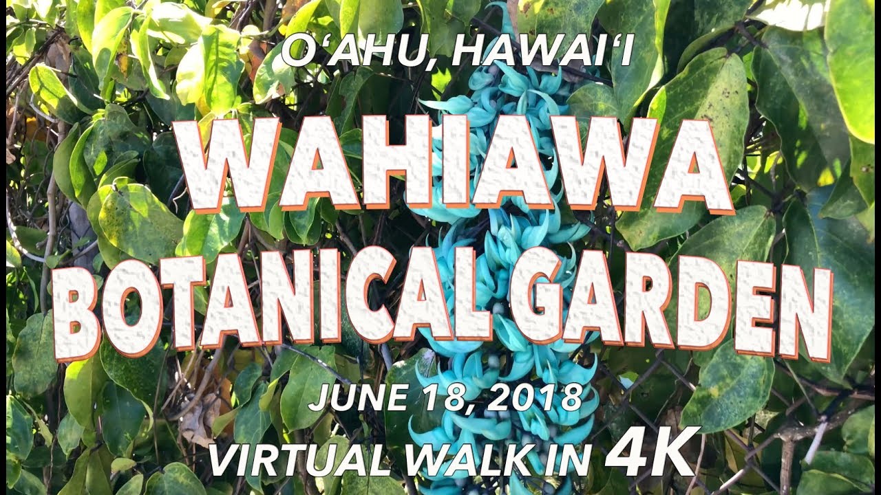 Wahiawa Botanical Garden 6 18 2018 4k Youtube