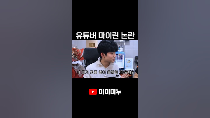 유튜버 마이린 논란