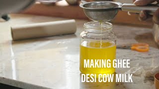 Preparing Ghee From Desi Cow Milk