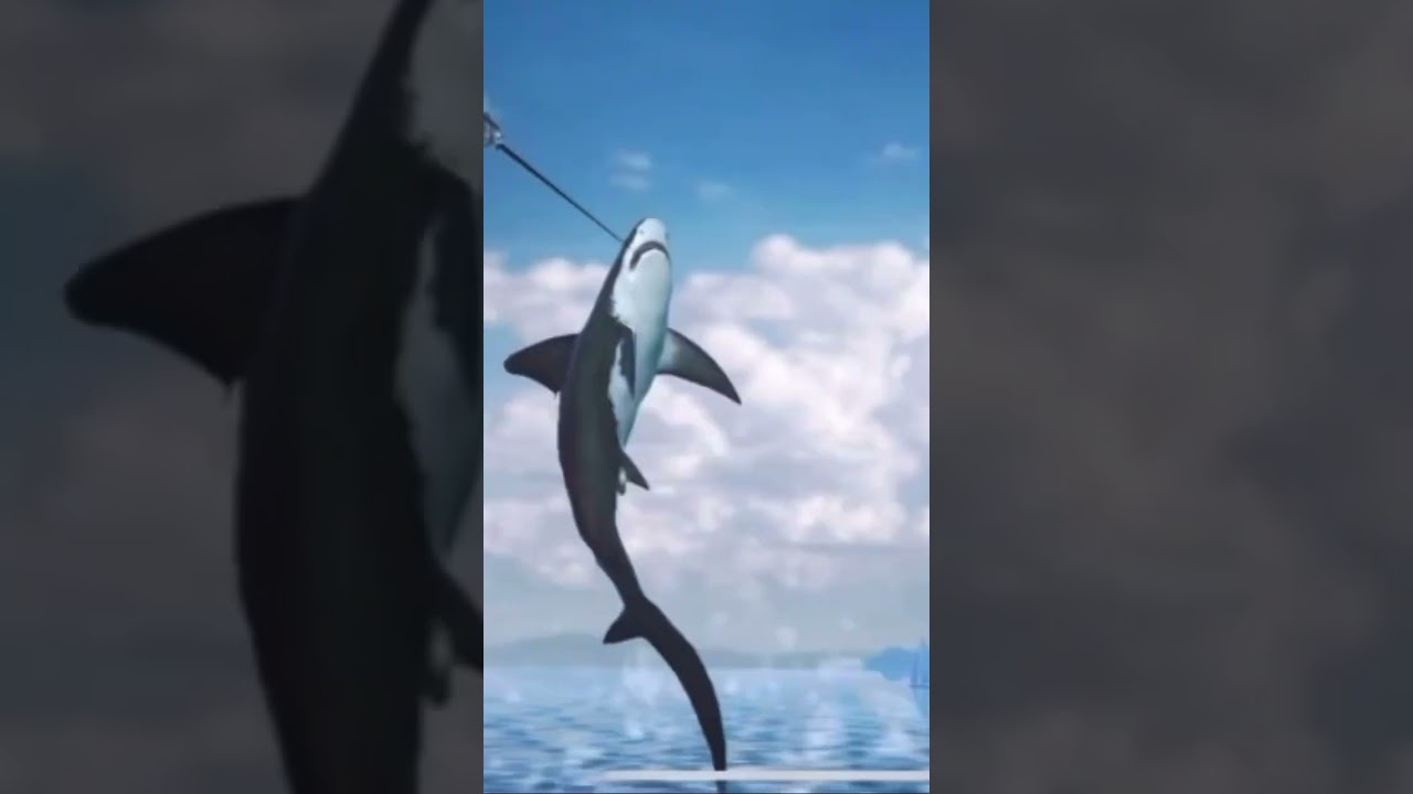 190 lb thresher shark in fishing master💀